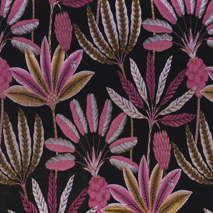 Fuschia Fuschia
