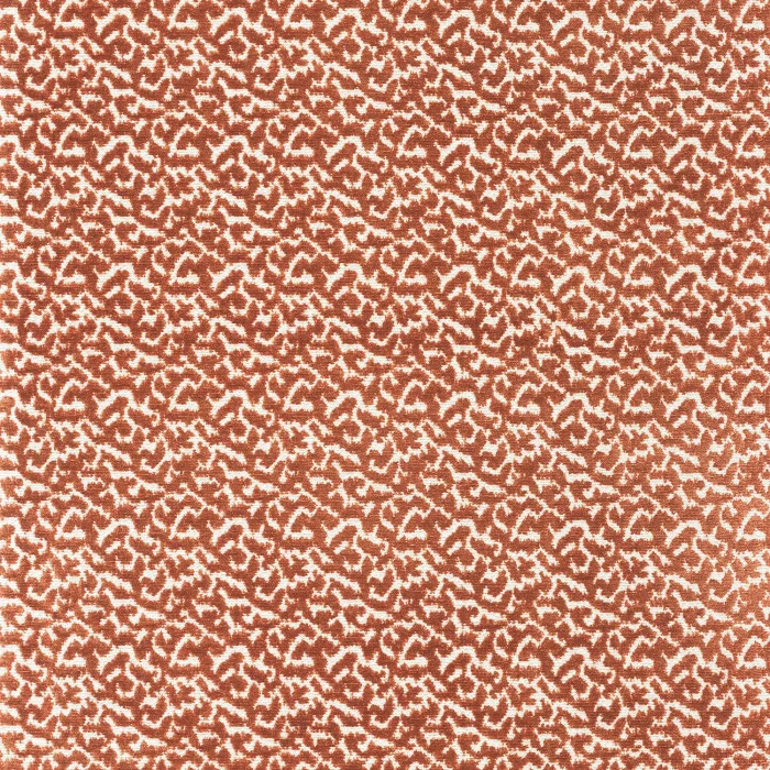 Terracotta Terracotta