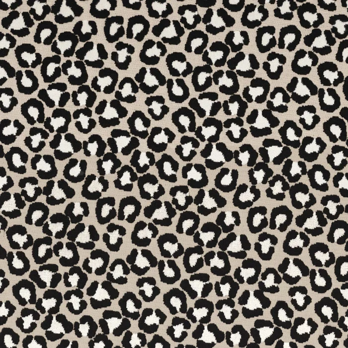 Black & white Black & white