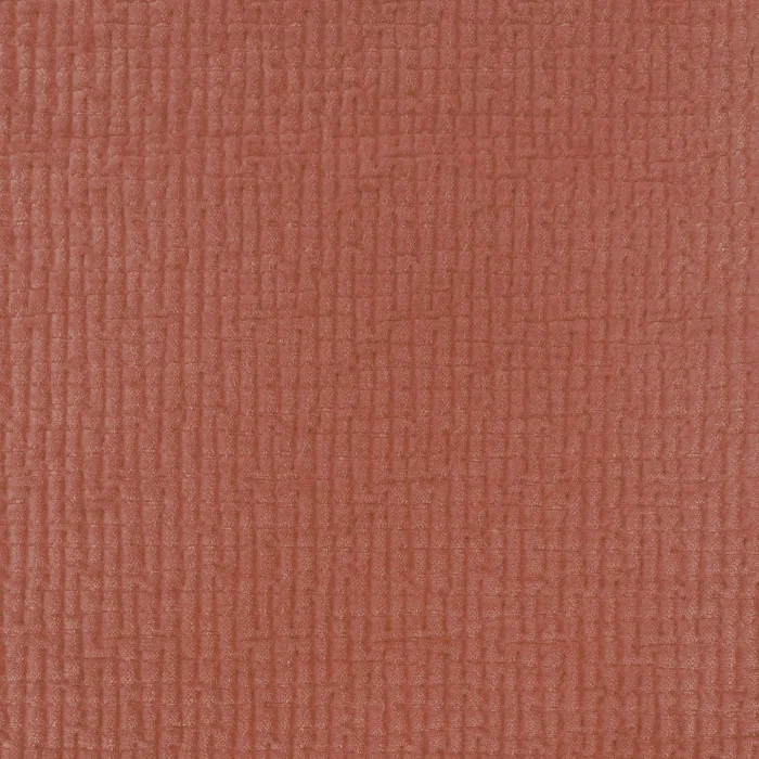 Terre battue Terre battue