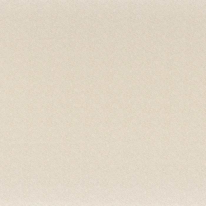 Beige Beige