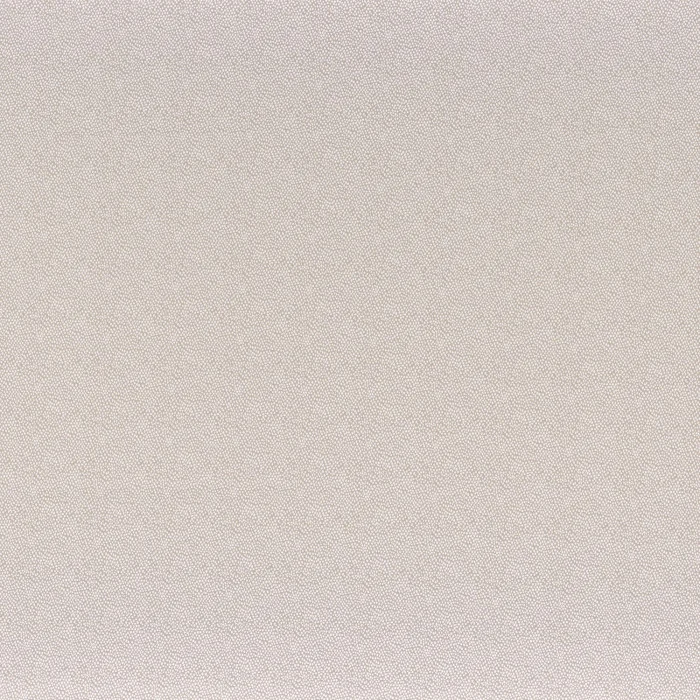 Taupe Taupe