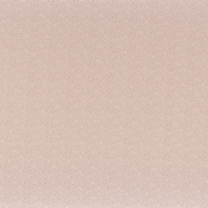 Nude Nude