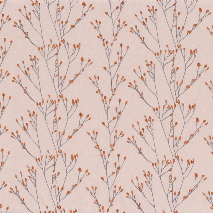 Rose orange Rose orange