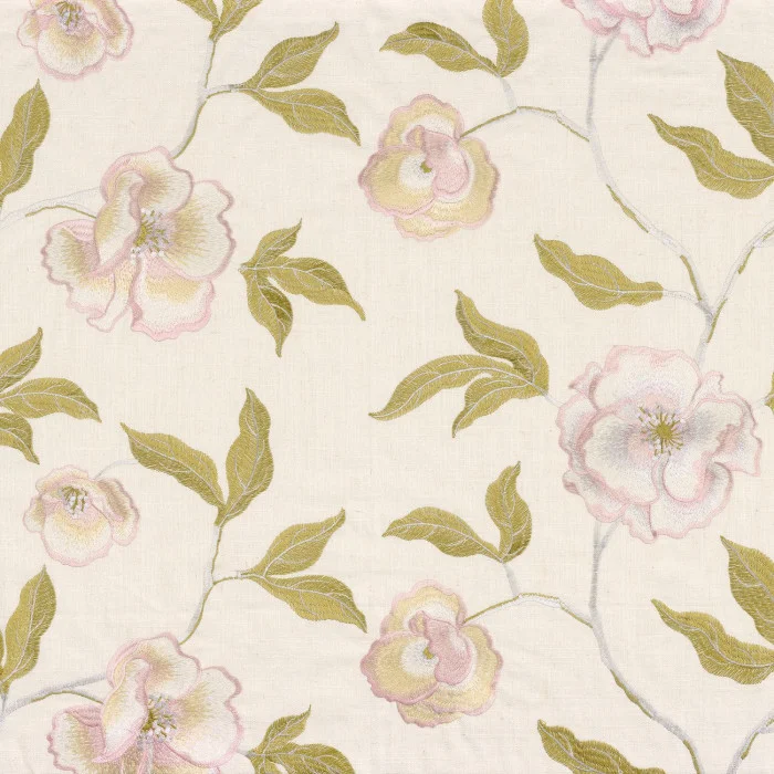 Rose poudré Rose poudré