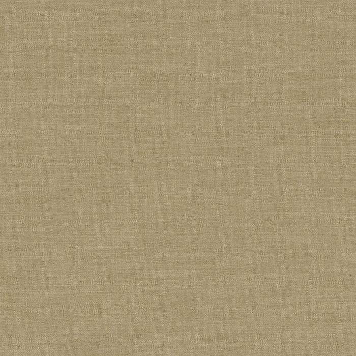 Chartreuse Chartreuse