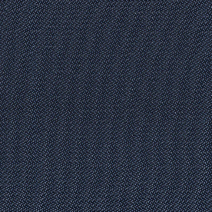 Navy Navy
