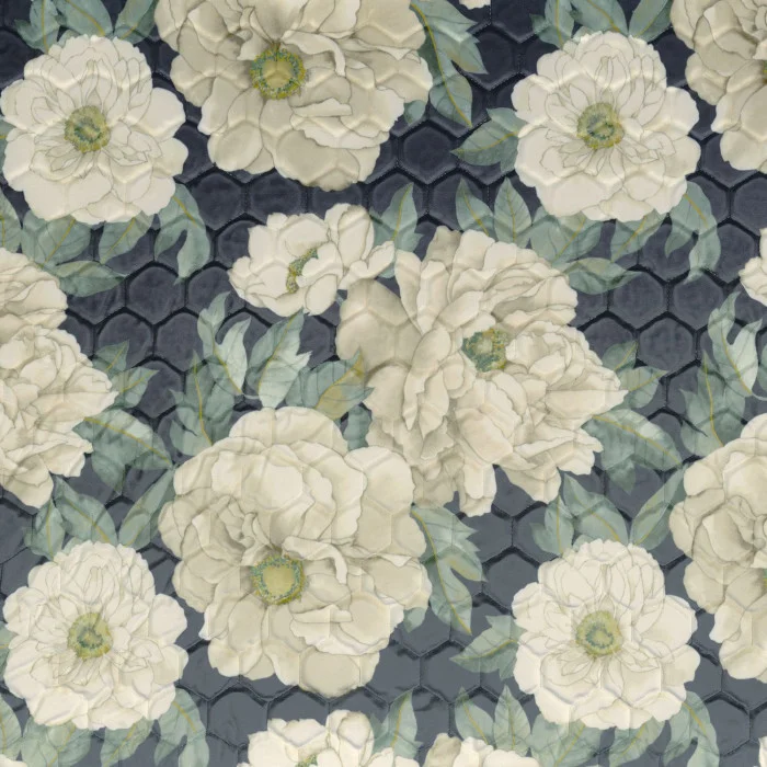 Anthracite Anthracite