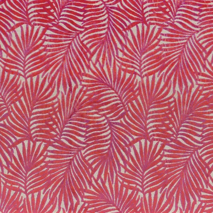 Fuschia Fuschia
