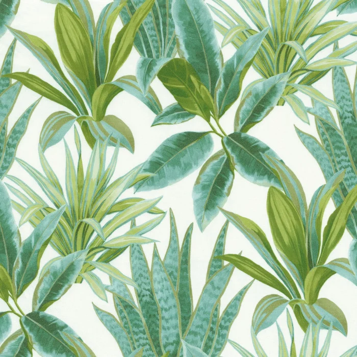 Chlorophyle Chlorophyle