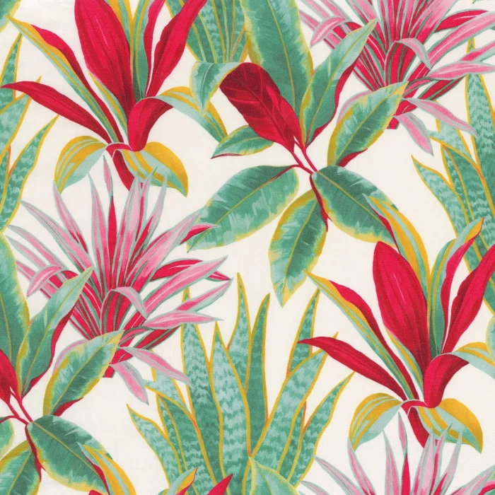 Cerise Cerise