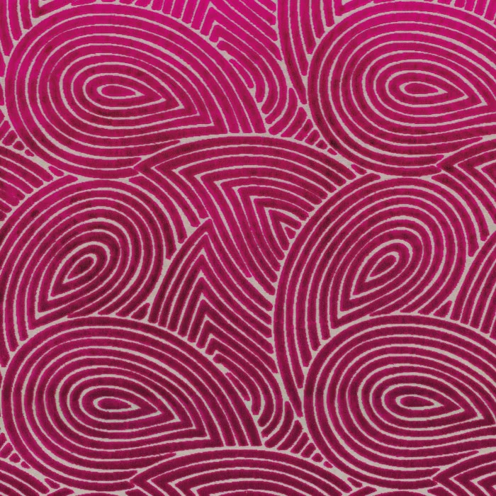 Fuschia Fuschia