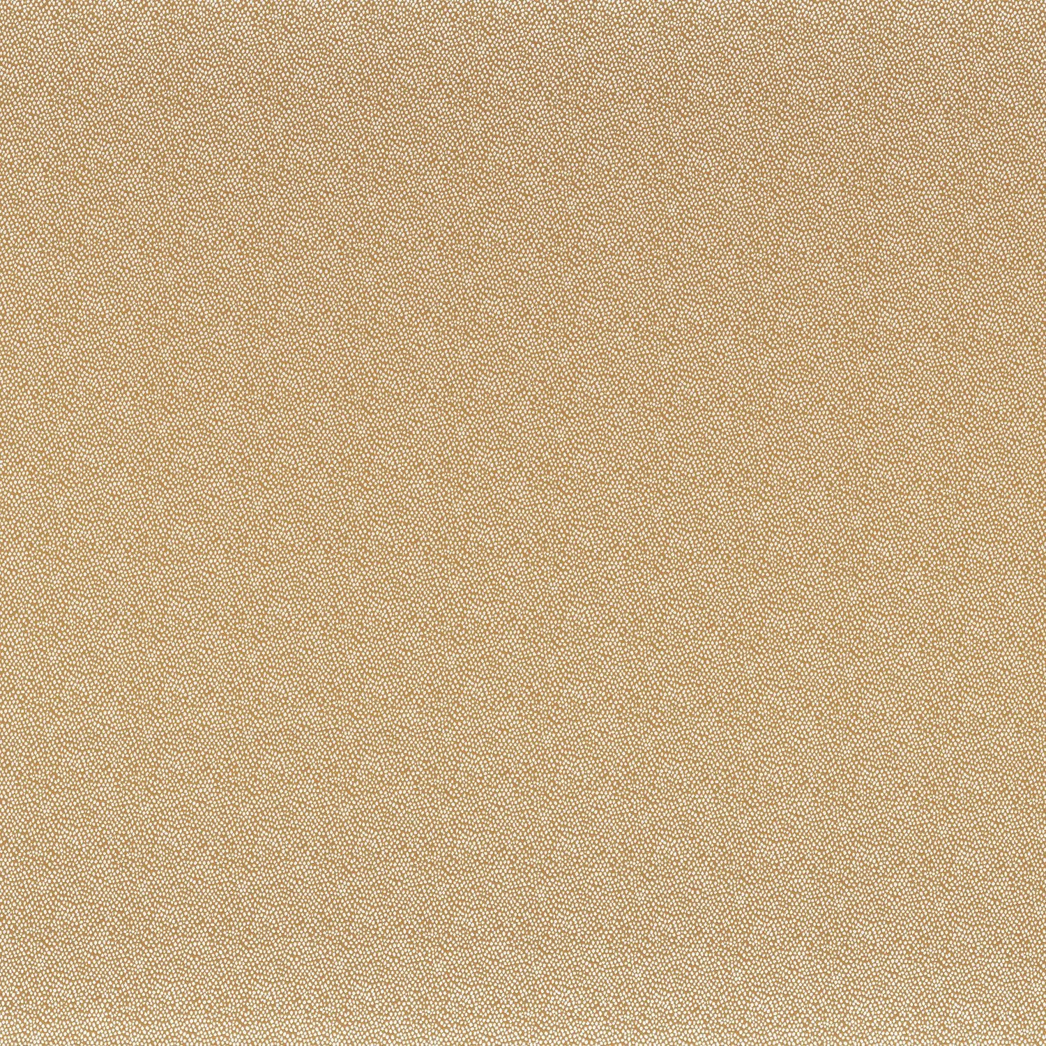 TARANA