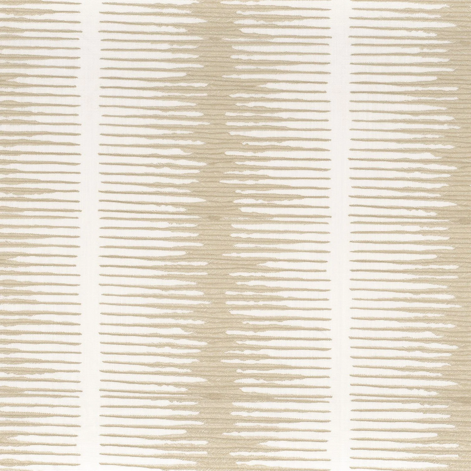 PARTICULE