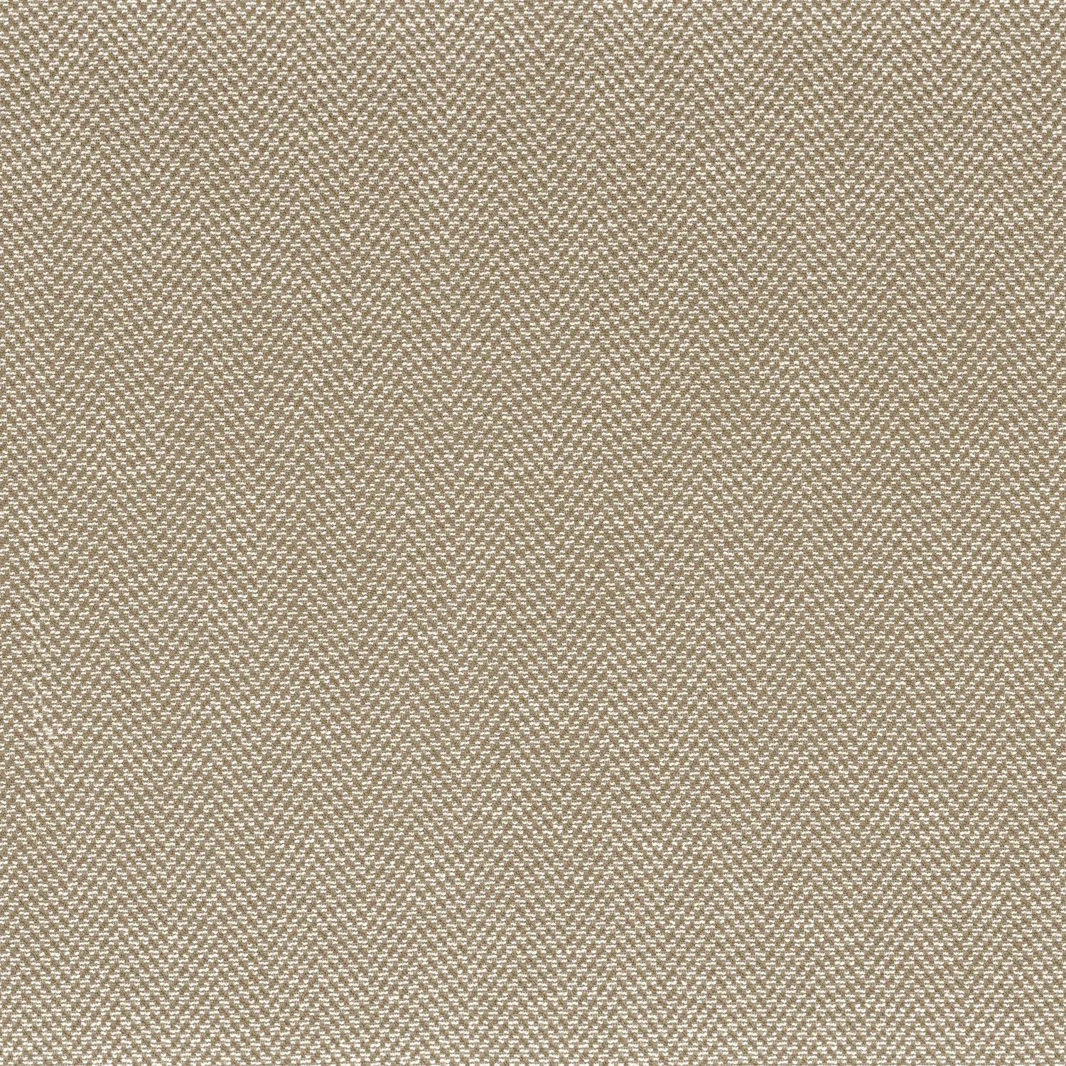 HERRINGBONE RCY